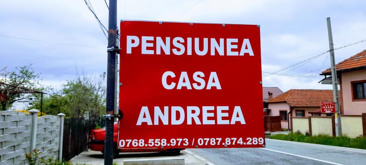 Pensiunea Casa Andreea Novaci-Străini Екстериор снимка