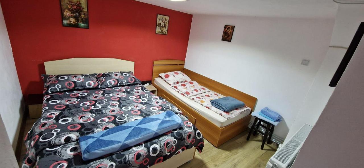 Pensiunea Casa Andreea Novaci-Străini Екстериор снимка