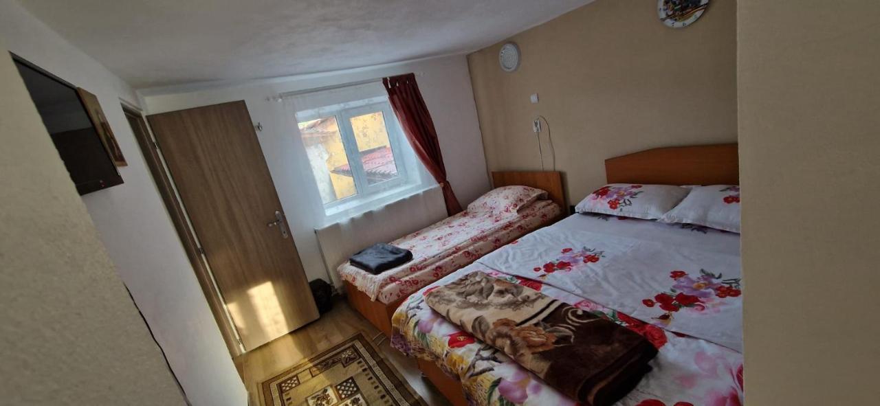 Pensiunea Casa Andreea Novaci-Străini Екстериор снимка
