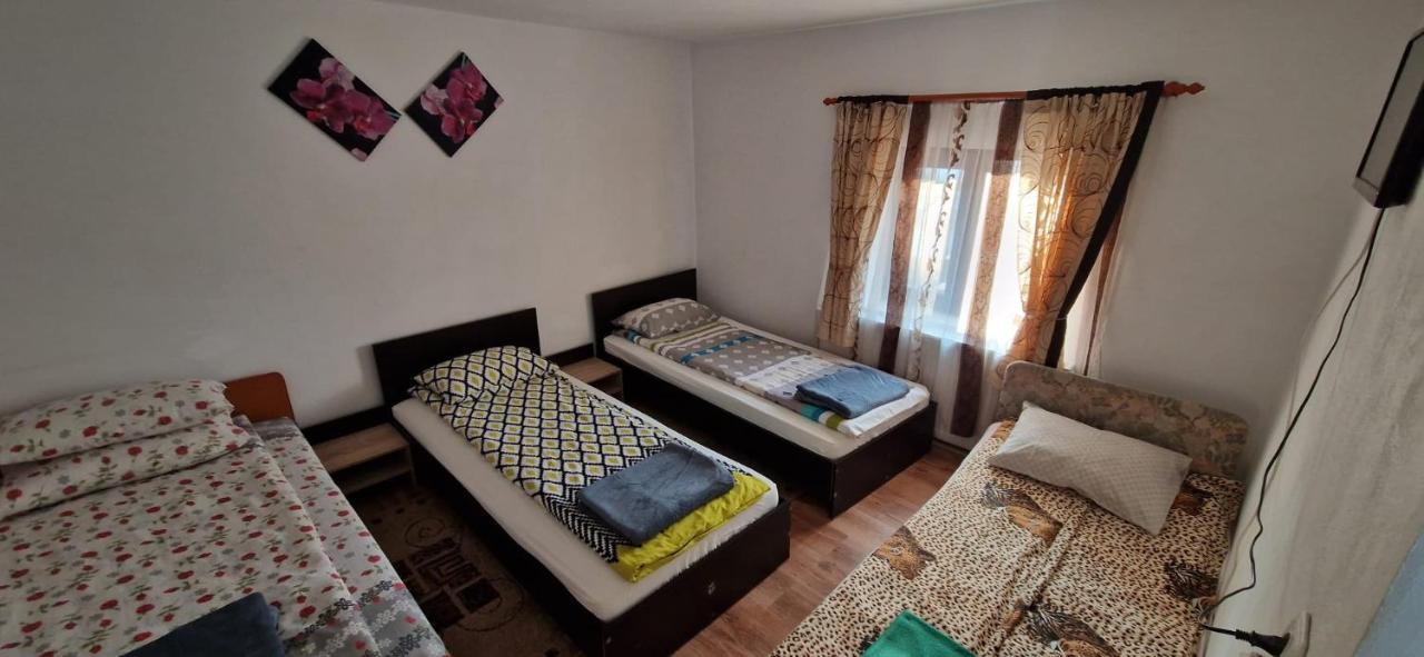 Pensiunea Casa Andreea Novaci-Străini Екстериор снимка