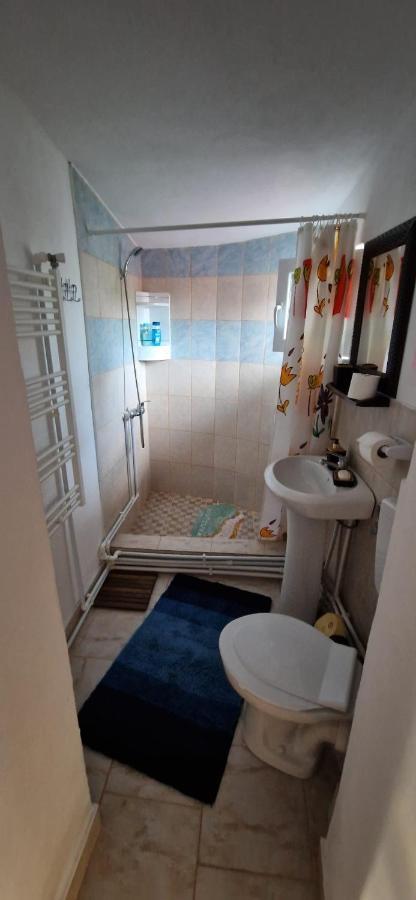 Pensiunea Casa Andreea Novaci-Străini Екстериор снимка