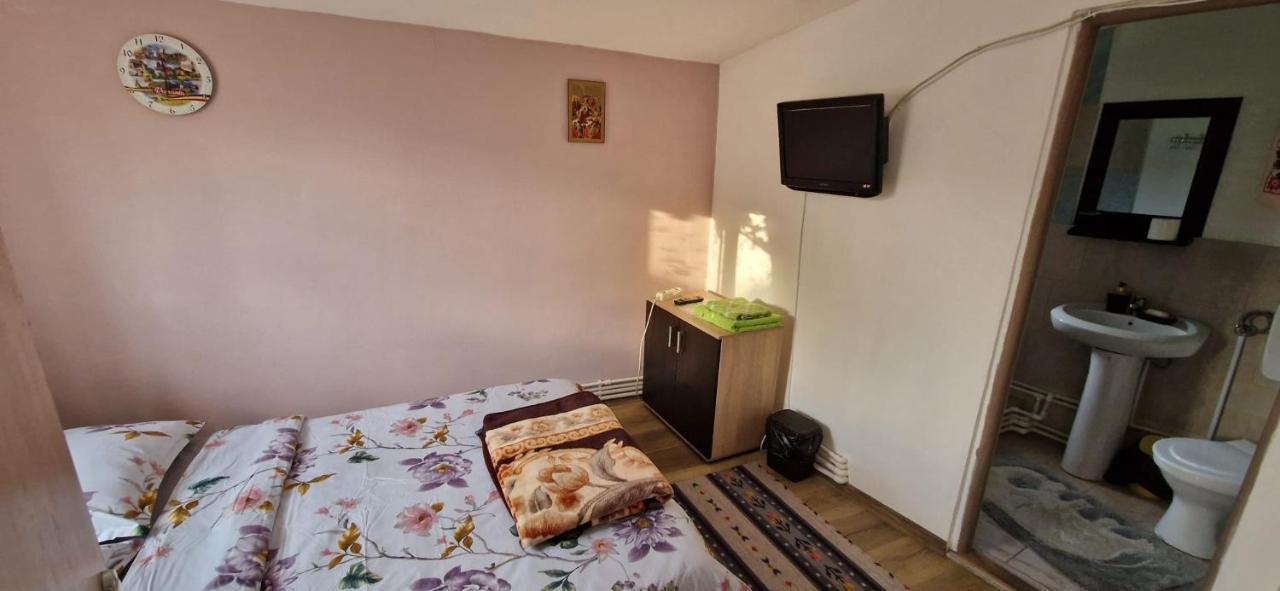 Pensiunea Casa Andreea Novaci-Străini Екстериор снимка