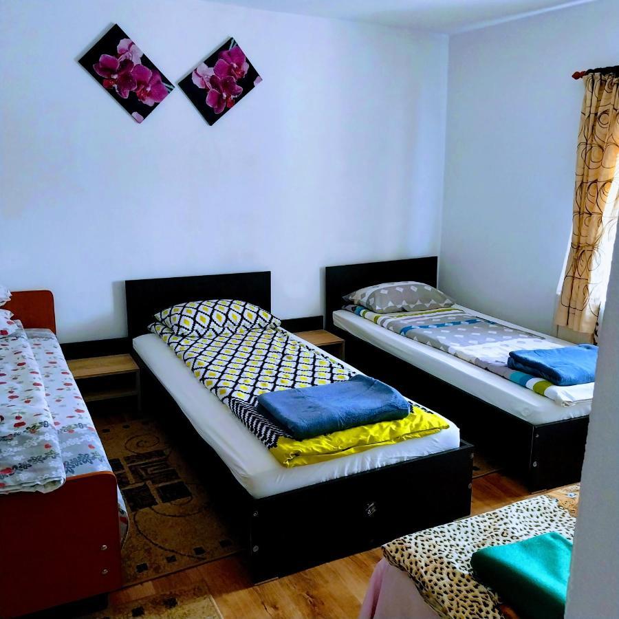 Pensiunea Casa Andreea Novaci-Străini Екстериор снимка